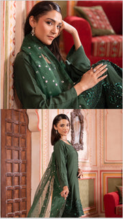 Noor-e-Nazar Luxury Silk Embroidered Collection ~ Ready to Wear ~ Raniya.h