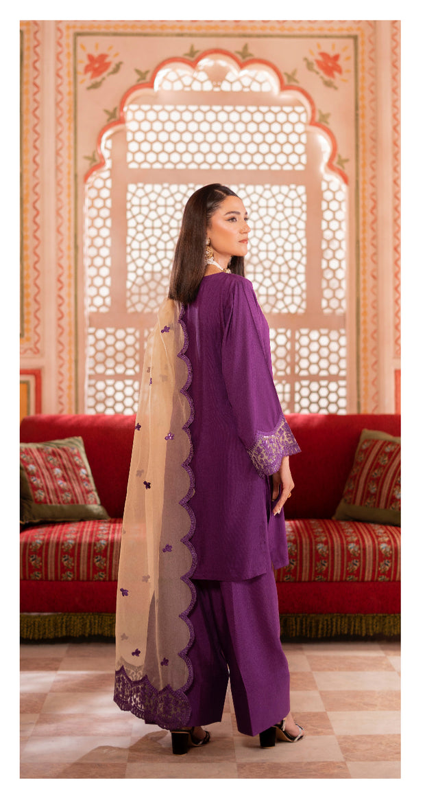 Noor-e-Nazar Luxury Silk Embroidered Collection ~ Ready to Wear ~ Raniya.h