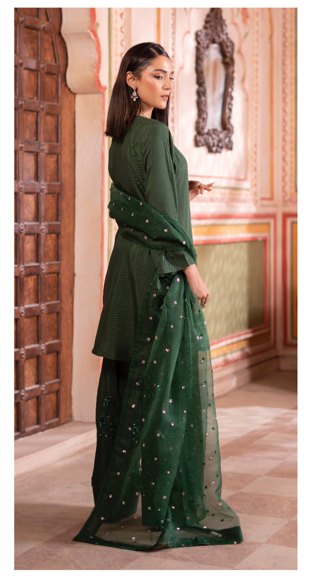 Noor-e-Nazar Luxury Silk Embroidered Collection ~ Ready to Wear ~ Raniya.h