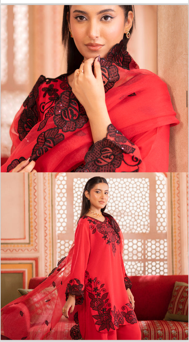 Noor-e-Nazar Luxury Silk Embroidered Collection ~ Ready to Wear ~ Raniya.h