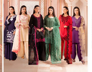 Noor-e-Nazar Luxury Silk Embroidered Collection ~ Ready to Wear ~ Raniya.h