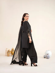 3pc Raw silk Farsi Shalwar suit - NOIR GLEAM | Raniya.H